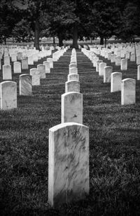 Freie Arbeit_Arlington Friedhof_Washington DC_Grabsteine in einer Flucht